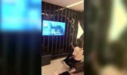 斌哥珠宝爆料视频大全,揭秘珠宝界的秘密与魅力